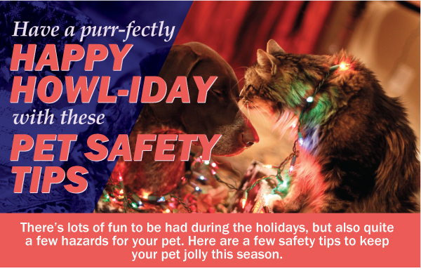 Holiday Pet Saftey