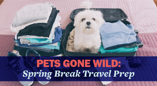 Pets Gone Wild: Spring Break Travel Prep