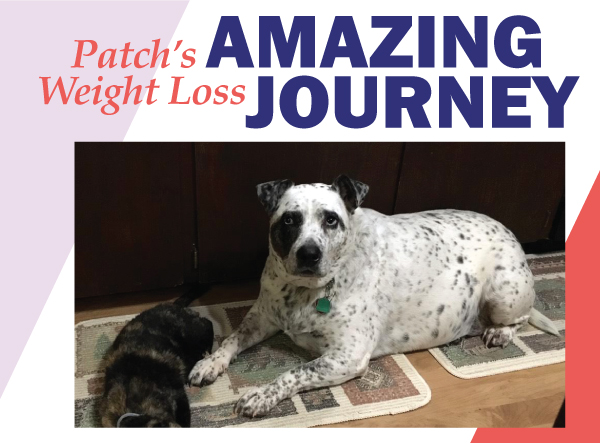 Patch’s Weight Loss Journey