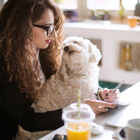 Millenial girl with dog on her phone