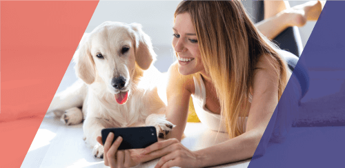 Great Vet Care At Your Fingertips